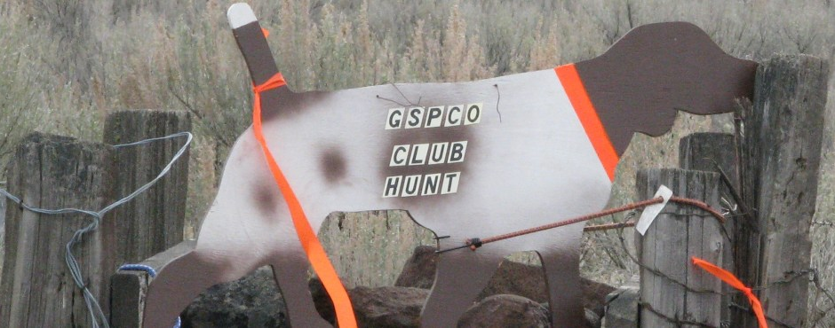 ABOUT THE GSPCO - Members of the German Shorthaired Pointer Club of Oregon (GSPCO) have many diverse activities in which to participate all for the love <a style="text-decoration:underline; color:#fff" href="http://gspcluboforegon.org/home-page/about-the-gspco/ ">Continue </a>
