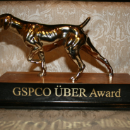 GSPCO Uber Achievement Award